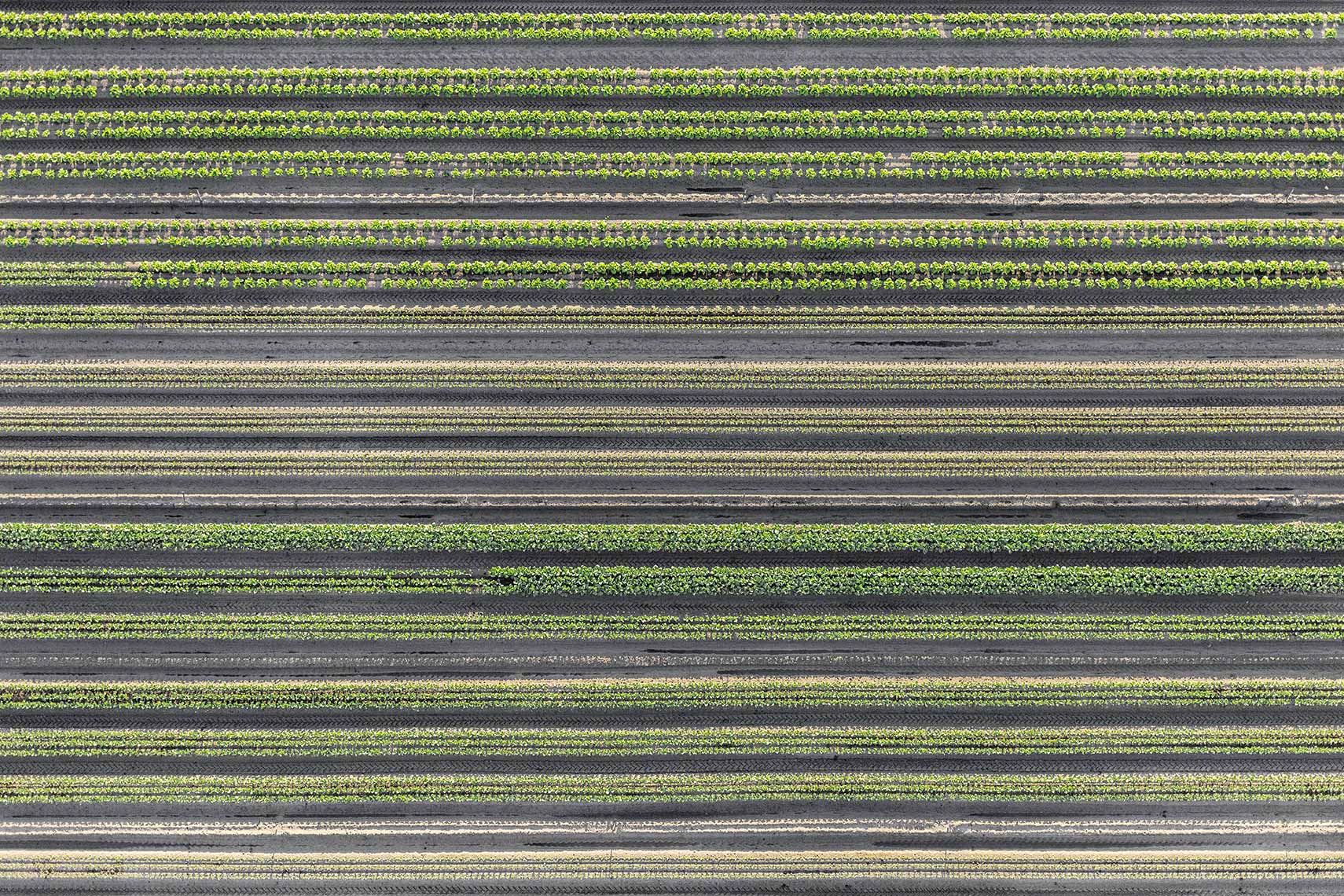 Aerial Landscape Agriculture