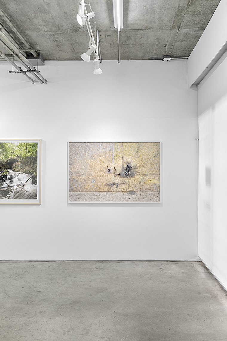 Front Room Gallery Landscape Print