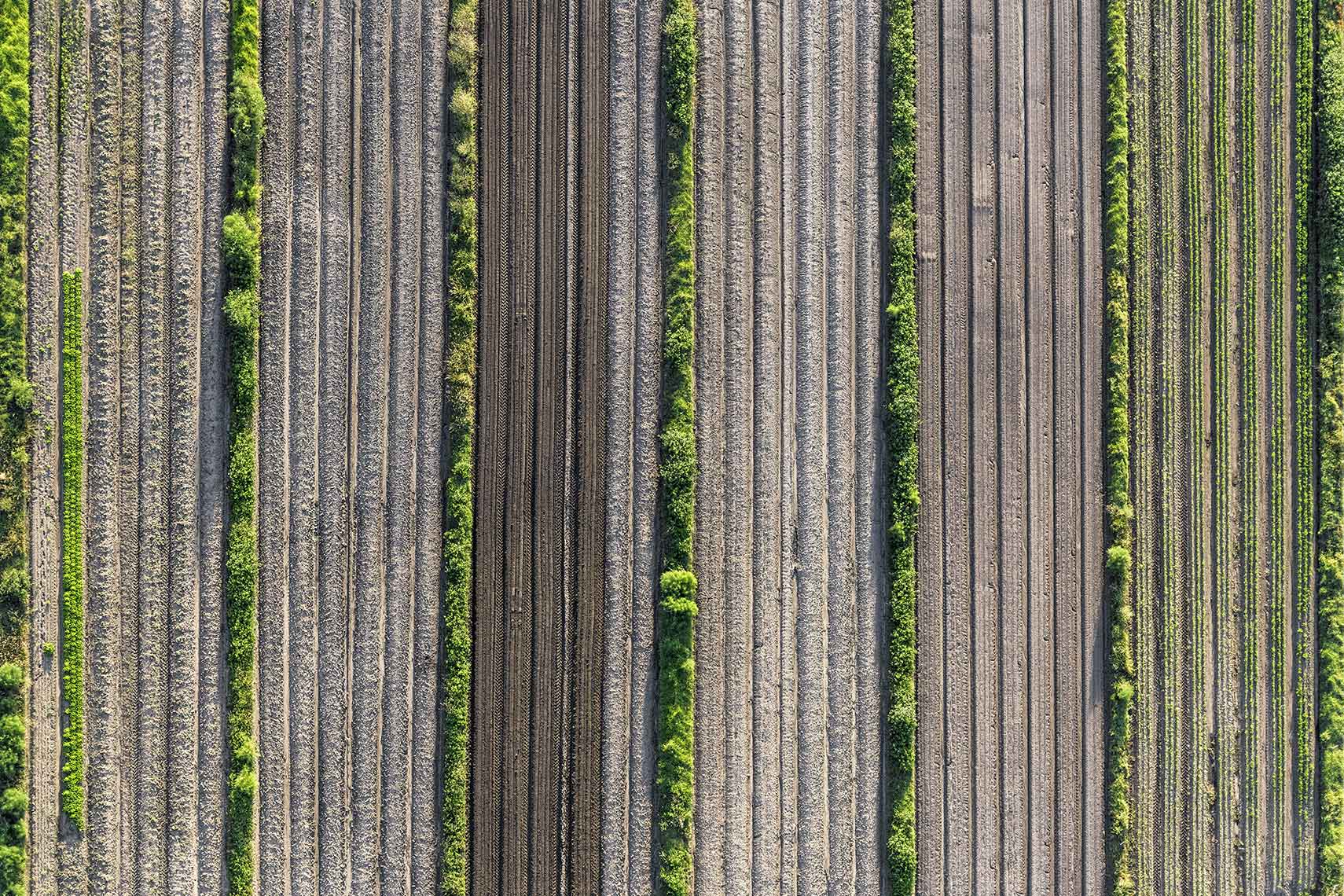 Aerial Landscape Crops