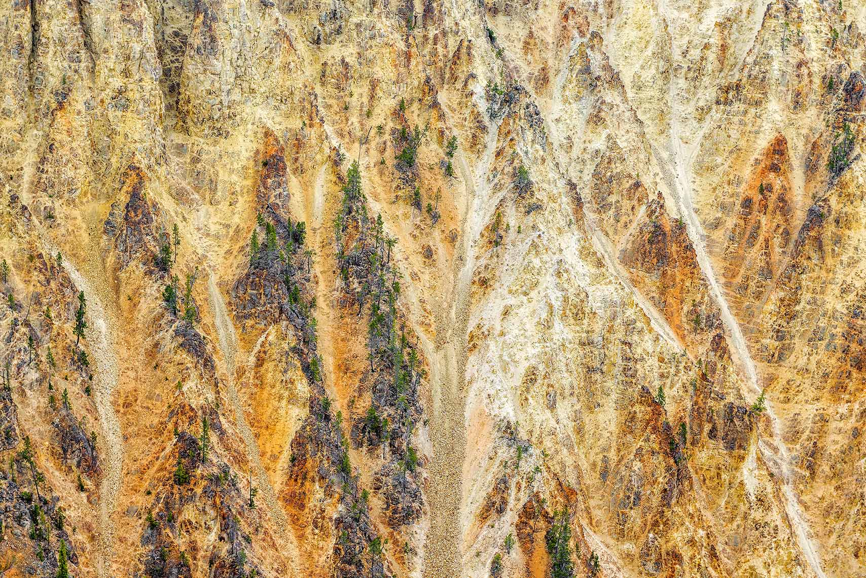 Landscape Photography Yellowstone National Park