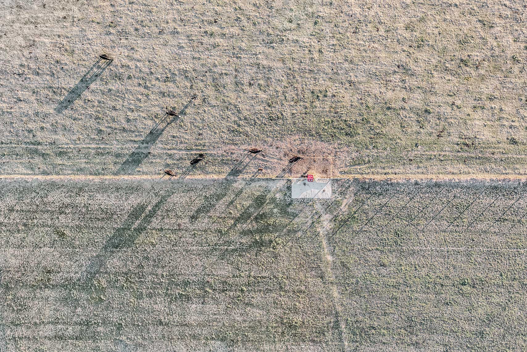 Farmland Shadows