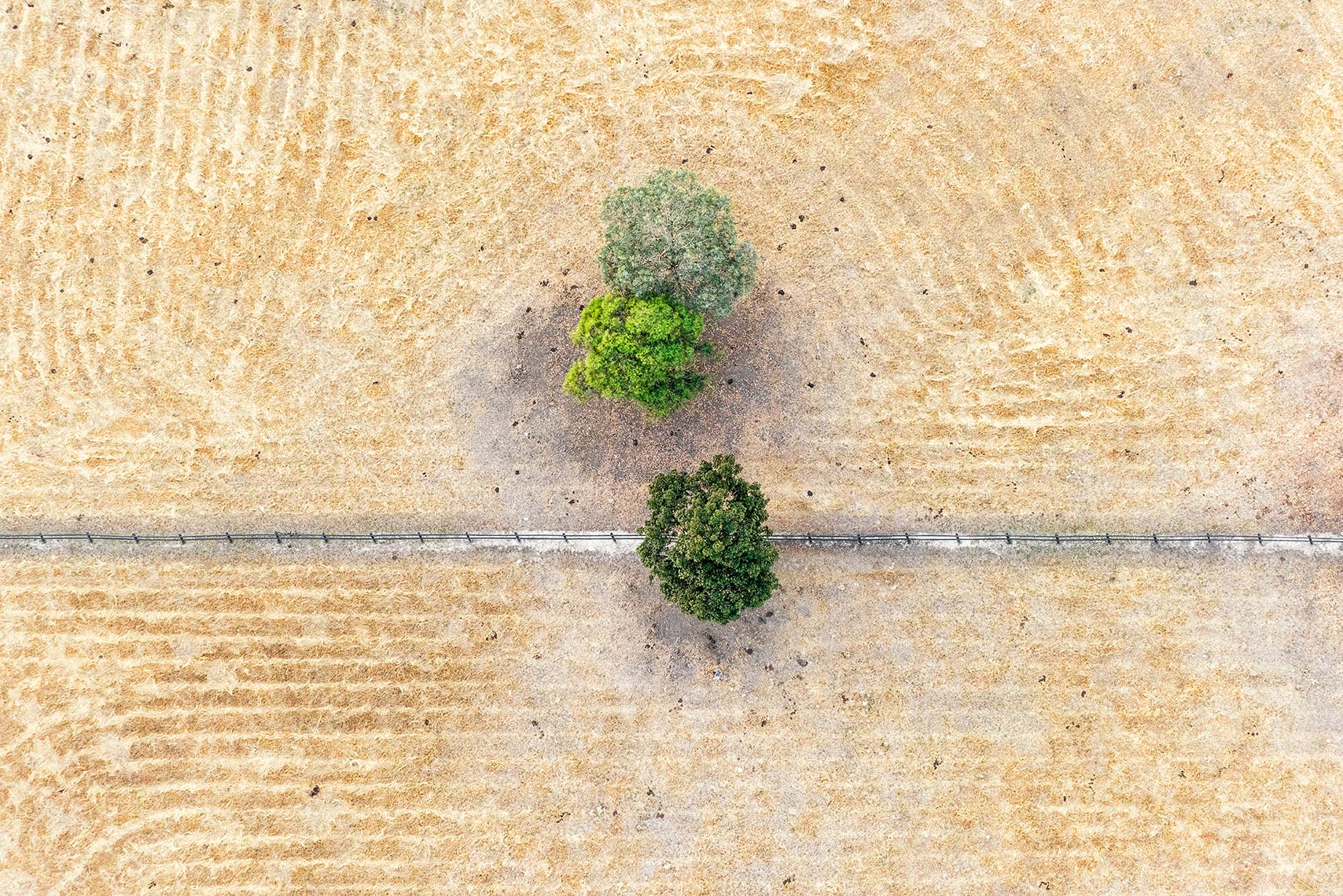 Aerial Landscape Yellow Grass